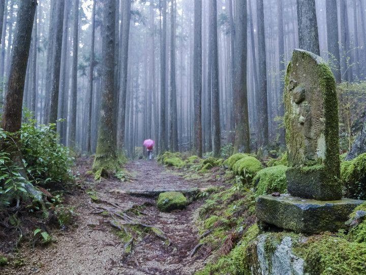 熊野古道：日本的世界文化遗产之旅