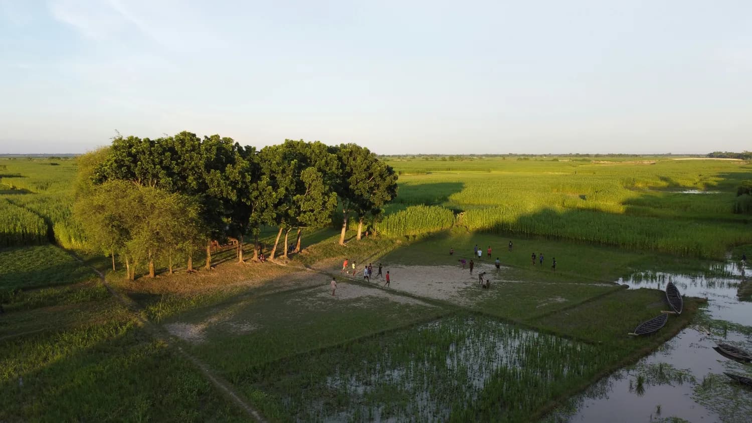 2000平米基地、20种动物：长兴湖小学打造立体劳动教育模式