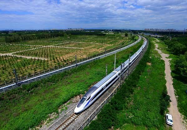 铁路边坡绿化指南：从植被选择到养护管理