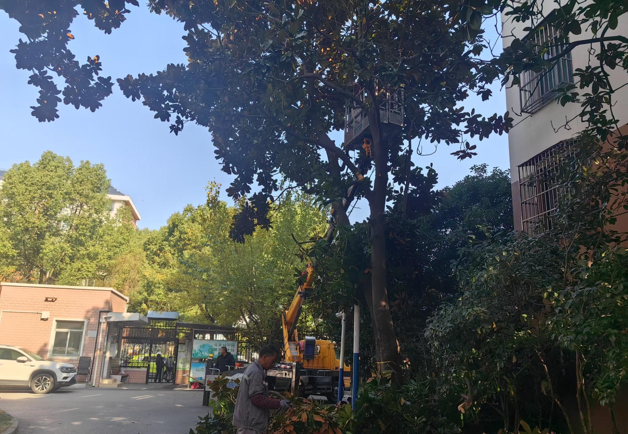 物业费“十年不涨”？上海基层积极探索破解之道