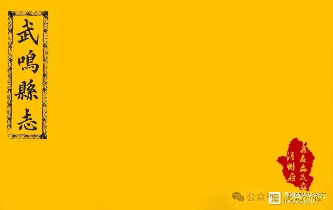 广西人文：方志故事十五——戎马书生修方志·民国武鸣县志