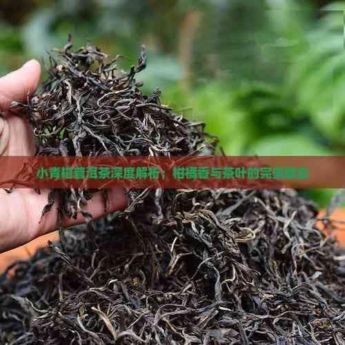 小青柑普洱茶深度解析：柑橘香与茶叶的完美融合