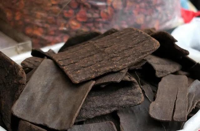 杜仲的黄金搭档与禁忌：一文读懂如何正确食用