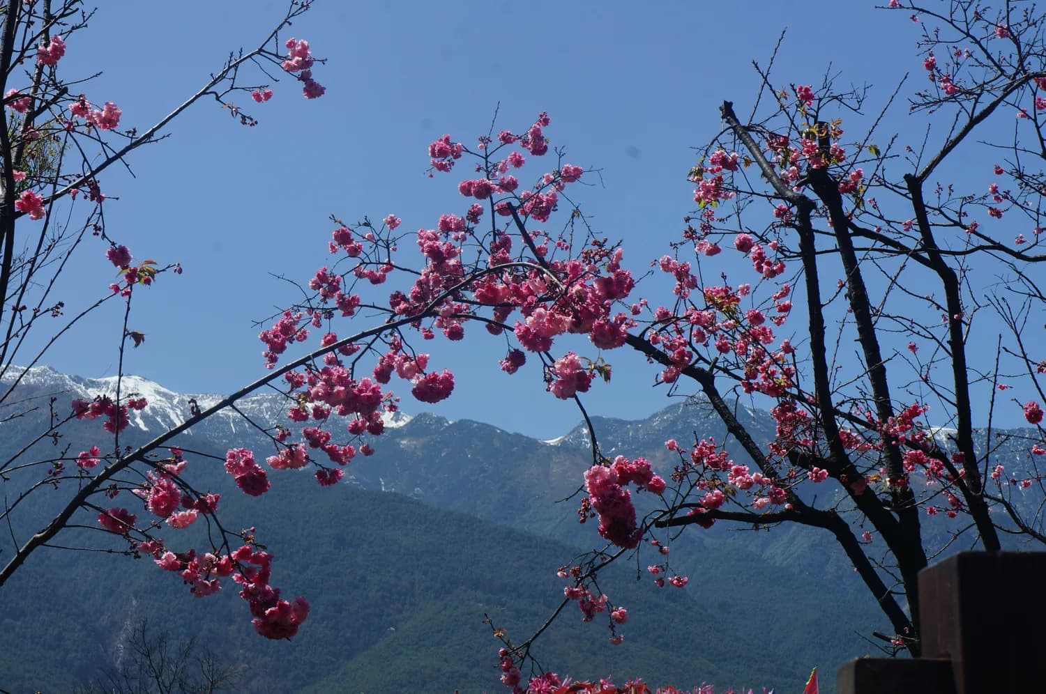 南宁大明山：春暖花开，邂逅最美春色