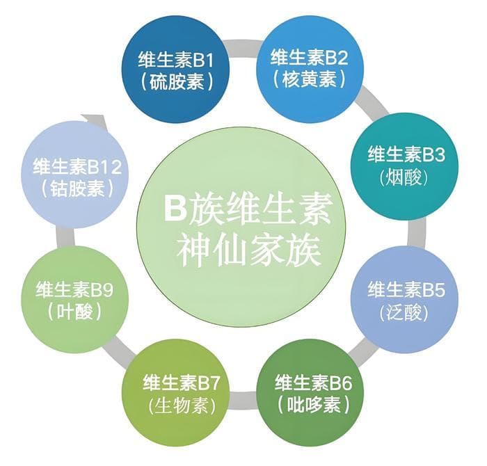 维生素B族：健康必需的营养素