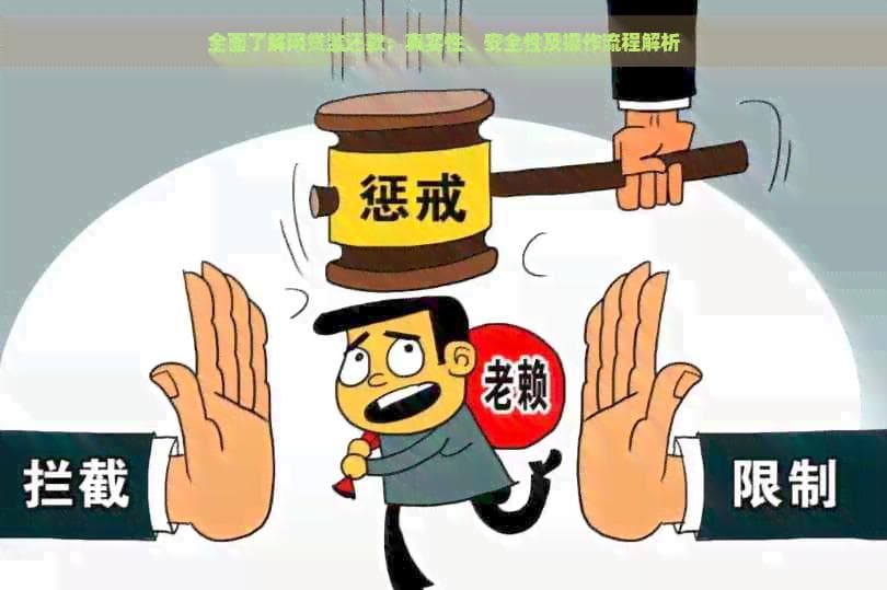 全面了解网贷监还款：真实性、安全性及操作流程解析