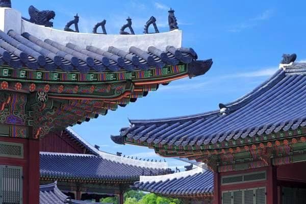 节能环保，从点滴做起：如何在日常生活中践行绿色生活