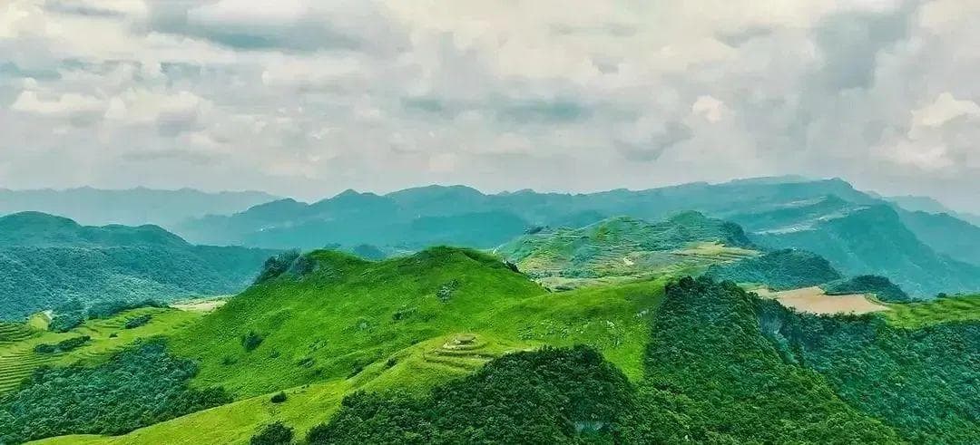 夏天，去桑植的“阿勒泰”看美丽的风景