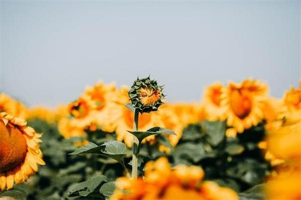 职工大病二次报销条件具备什么？报销流程是什么？