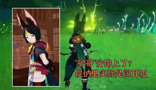 揭秘原神草神纳西妲：五百年孤独守护，元素精通突破的终极秘密
