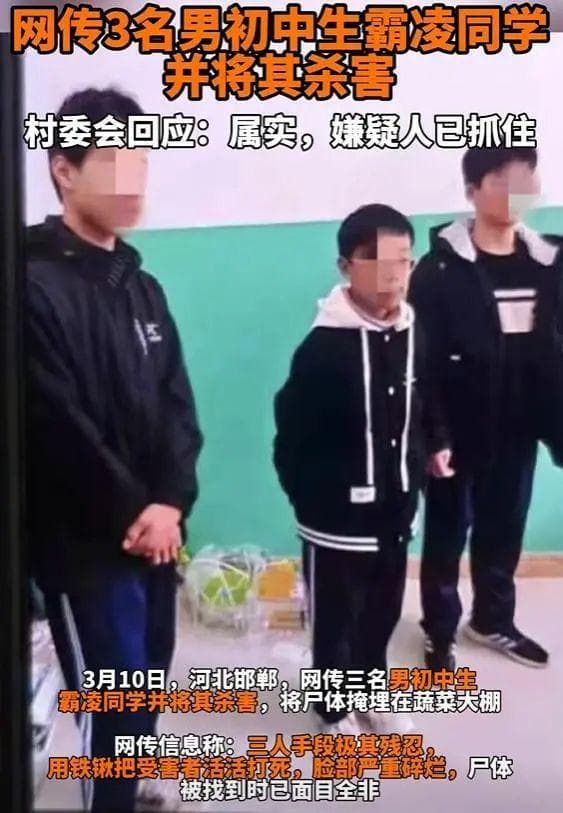 河北初中生遇害案：校园霸凌背后的警示