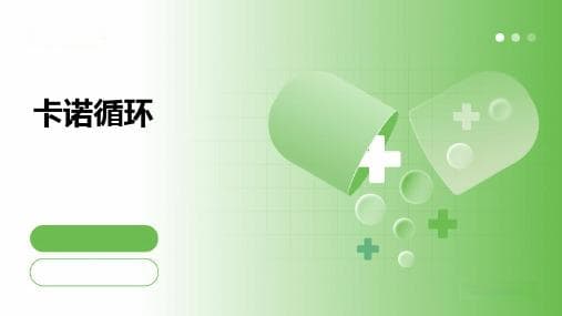 卡诺循环：热力学中的理想化循环模型