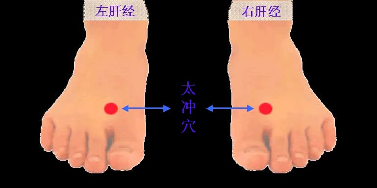 中医精选39个穴位，一病一穴，专穴专用