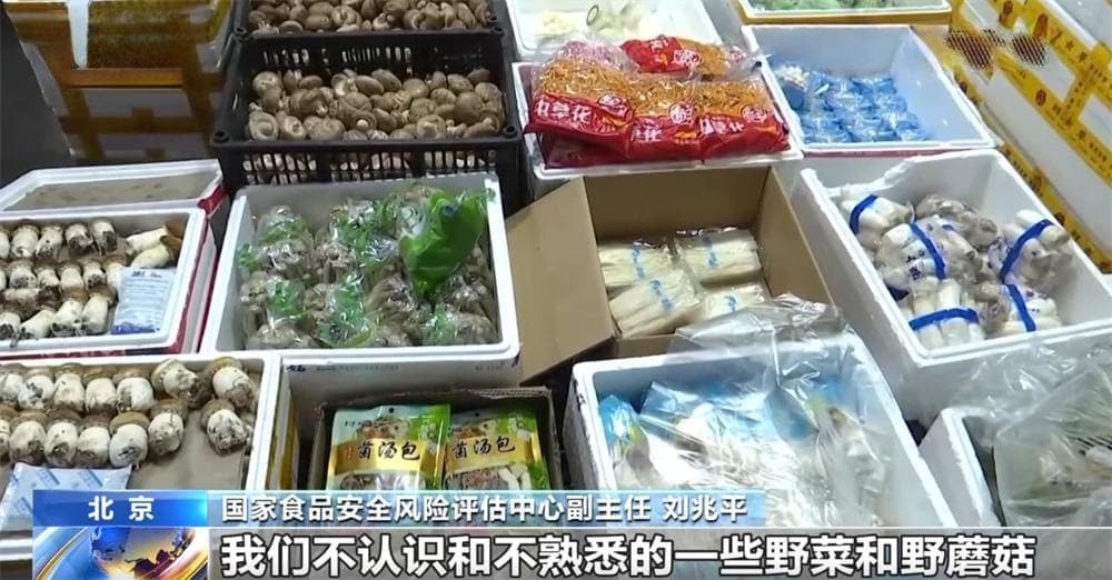 预防春季食源性疾病需防范两类风险因素 专家作出详细解读