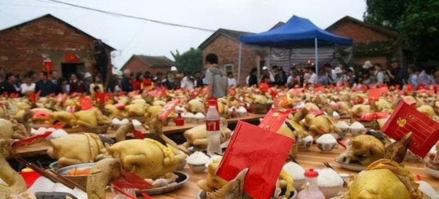 广东人为什么对白斩鸡情有独钟？背后隐藏的文化传承与美味秘密！