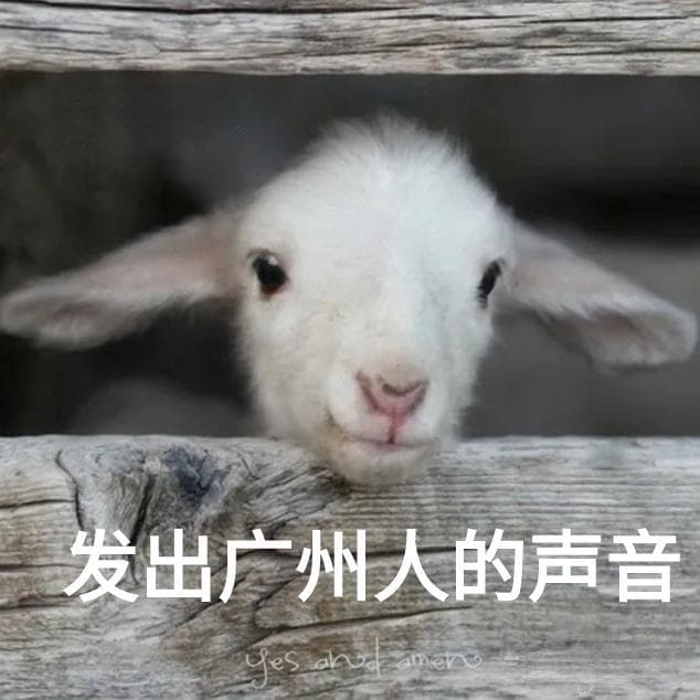世界睡眠日：科学改善睡眠质量，从认知行为疗法开始