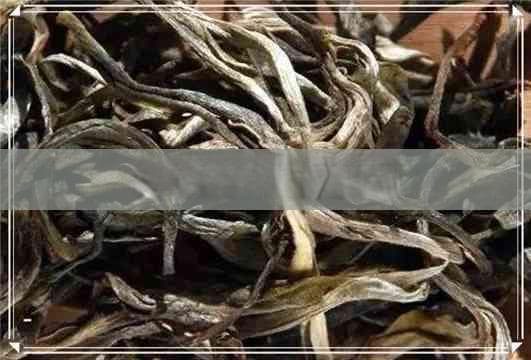茶叶茶氨酸的危害：过量摄入可能带来的六大风险