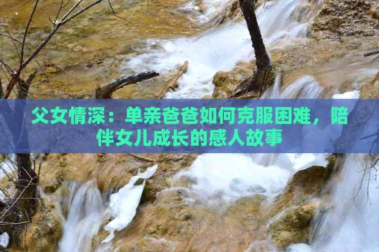父女情深：单亲爸爸如何克服困难，陪伴女儿成长的感人故事
