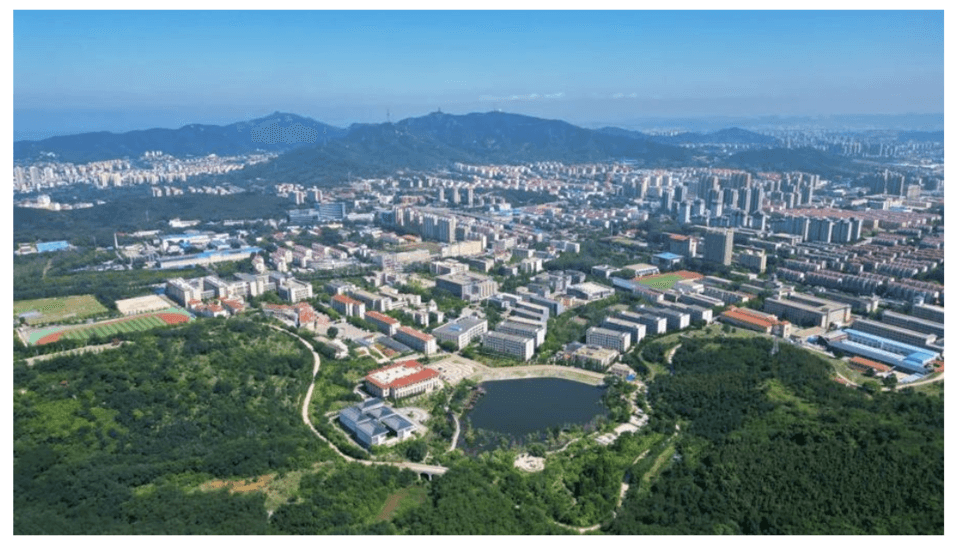 高考冲刺｜鲁东大学学子分享600+分备考秘籍