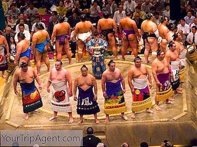 日本12位最着名的相扑选手