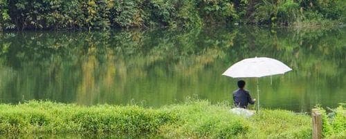 雨天垂钓全攻略：15个实用技巧助你提升捕获率