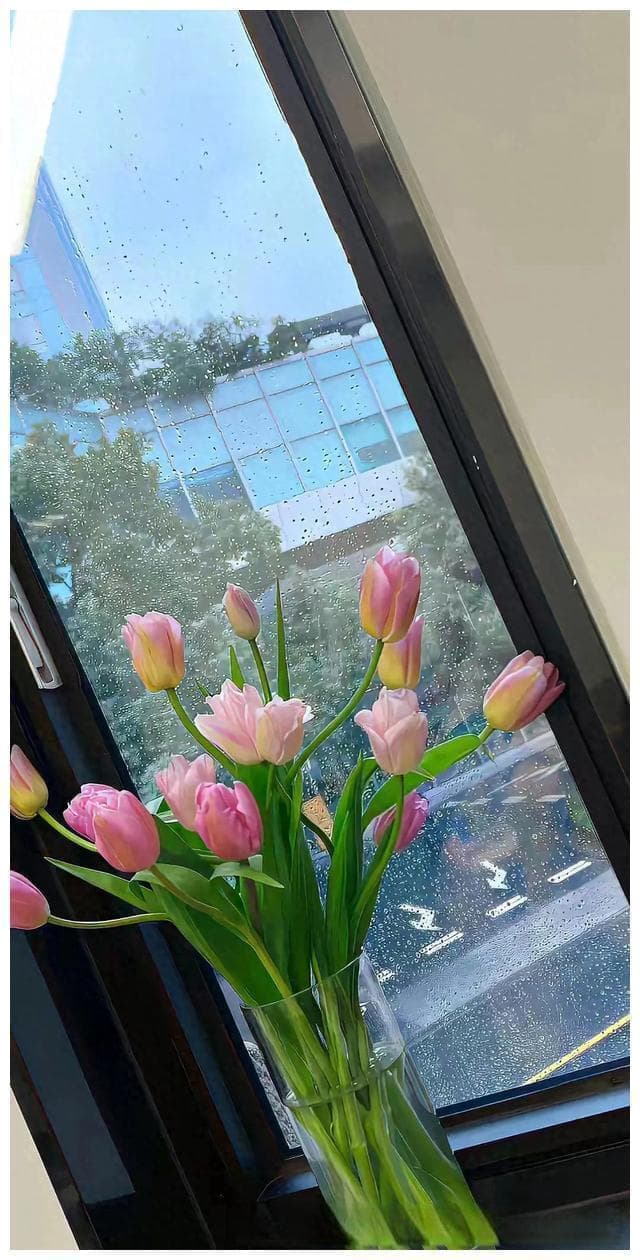 思念的距离：异地恋情如何维系与升温