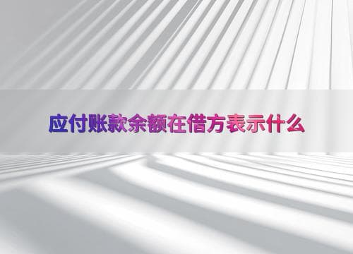 应付账款余额在借方表示什么