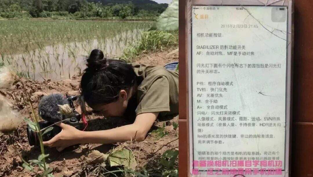 与微念和解，“李子柒”品牌最终到底归了谁？