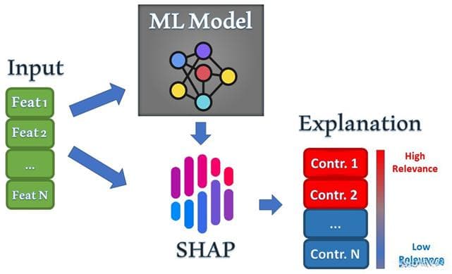 模型解释工具：SHAP --- 论文实战