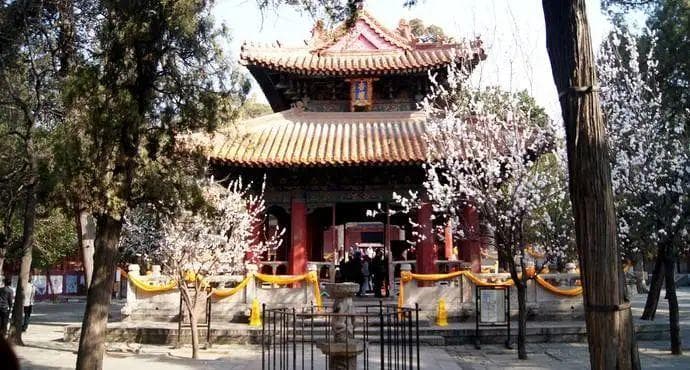 孔子：当老师，我是认真的