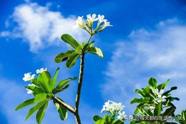 保养自己的21个习惯
