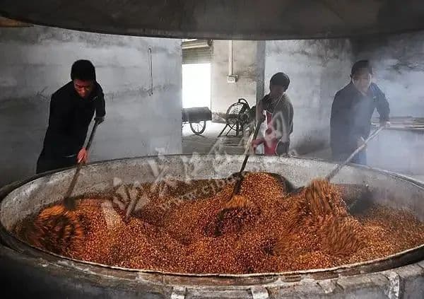 白酒蒸馏设备酿酒剩下的酒糟可以做什么？