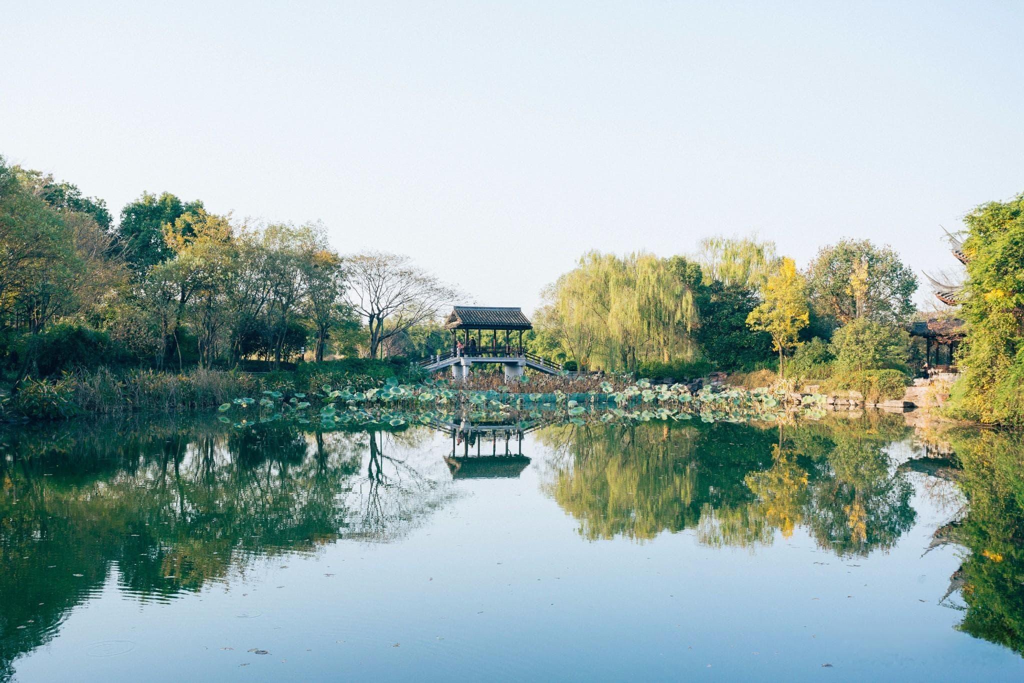 杭州西溪湿地：两堤六景串联，摇橹船畅游湿地精华