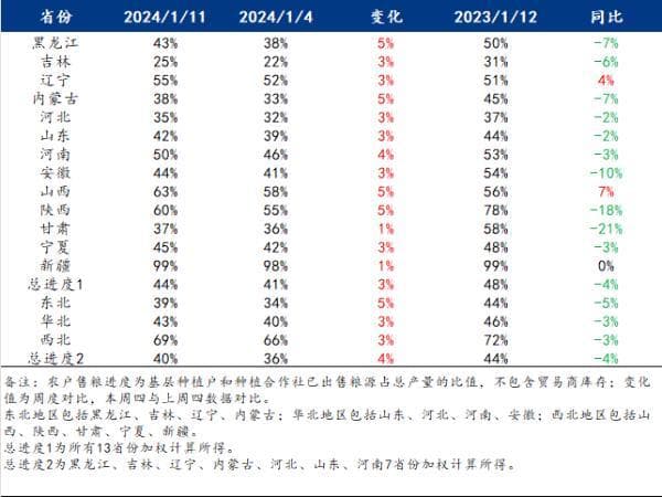 中储粮出手增储，玉米市场仍显疲弱