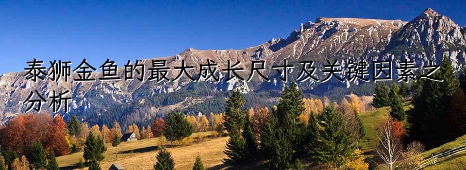 泰狮金鱼的最大成长尺寸及关键因素之分析
