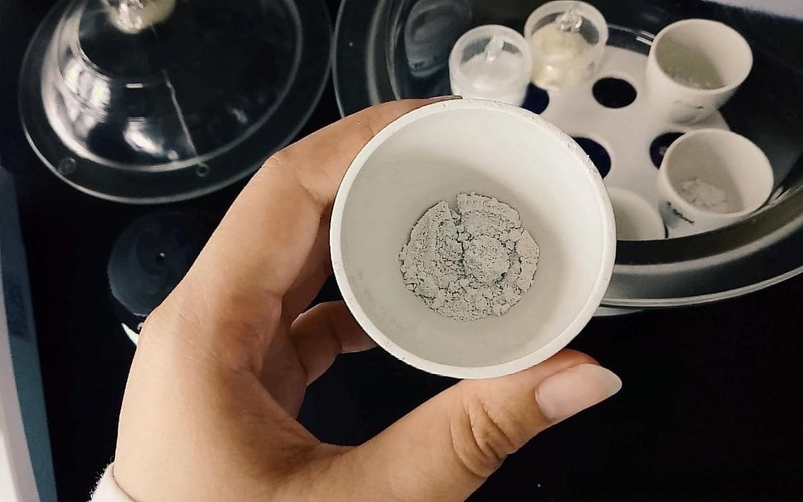 小鼠急性毒性专业试验