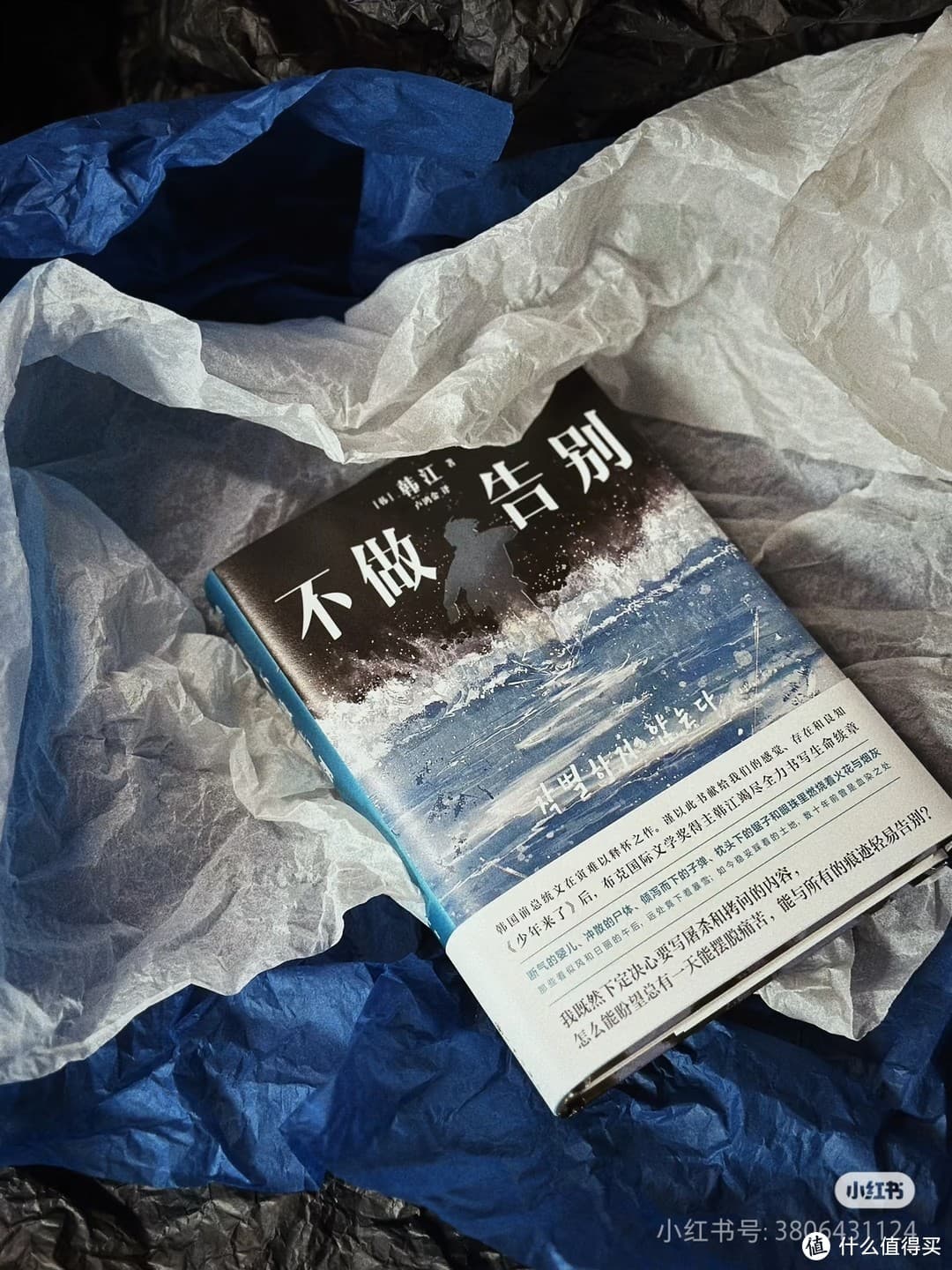 探索五本新书：知识与想象的奇妙旅程