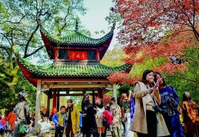 长沙：以青年友好政策吸引300万人才，打造青春之城