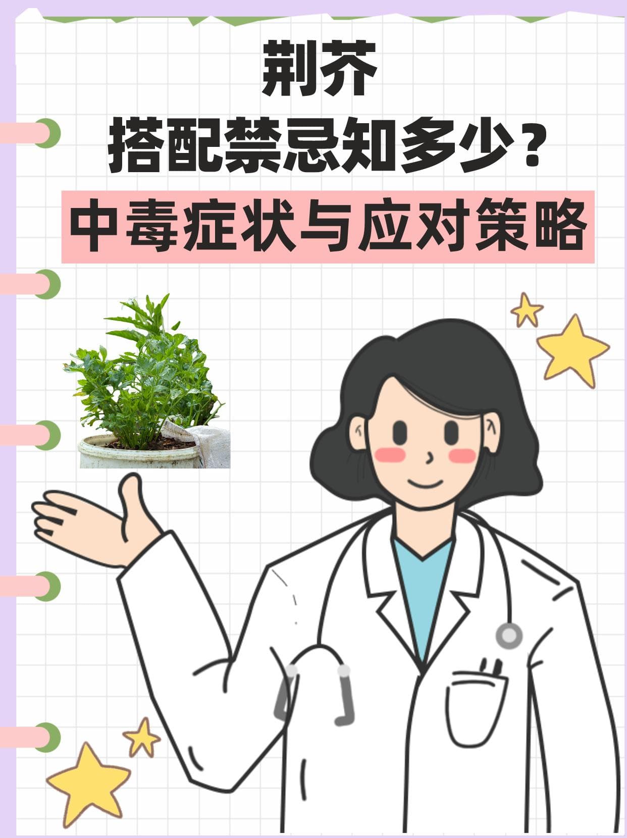 荆芥搭配禁忌知多少？中毒症状与应对策略