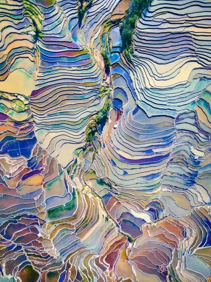 红河州哈尼梯田：活态保护利用的新实践
