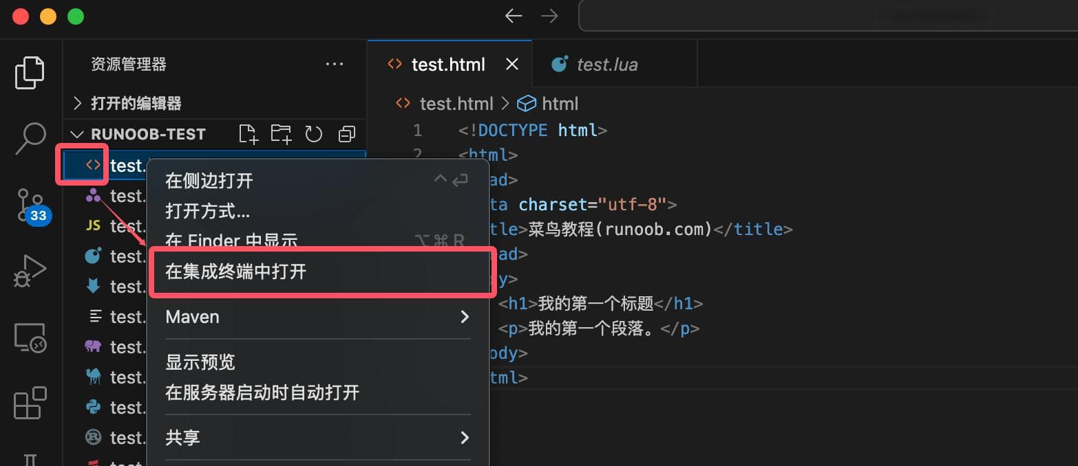 VSCode 集成终端使用指南