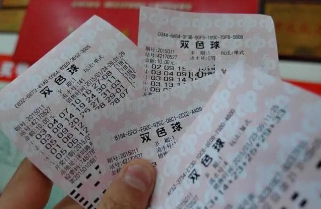 鄠邑彩票案：千万大奖背后的法律谜局