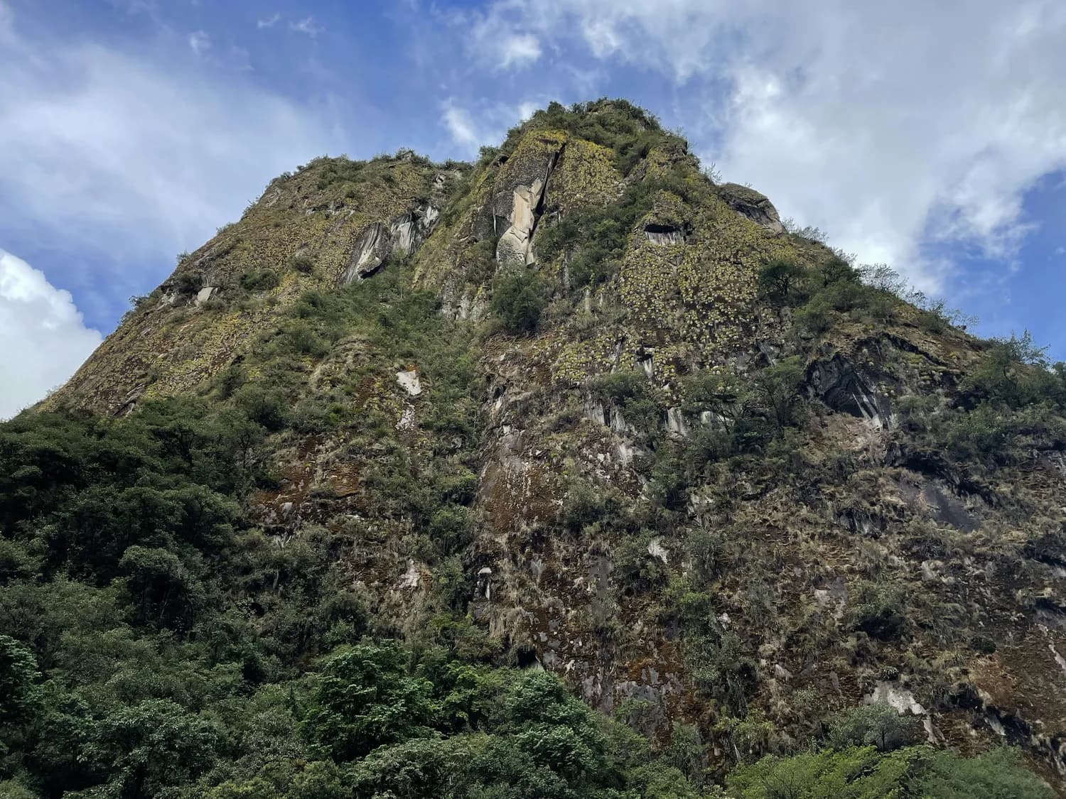轿子山国家级自然保护区：昆明的绿色瑰宝