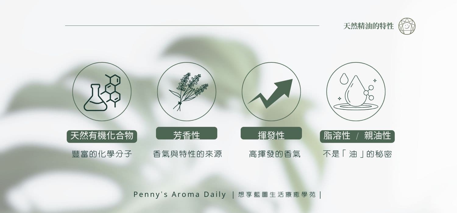 精油新手常見迷思？破解4大特性，安心用不踩雷！