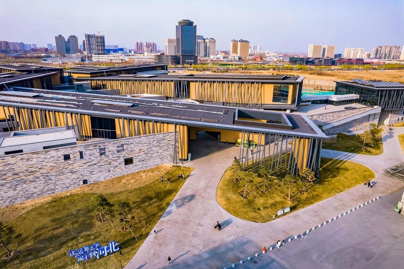烟火气里看河北｜中国古动物馆里的“化石奇遇记”