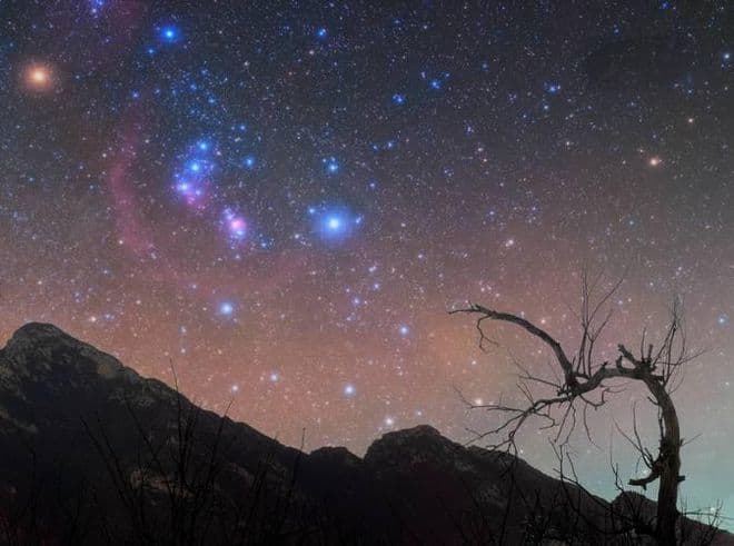 春夜星空下的春天趣事