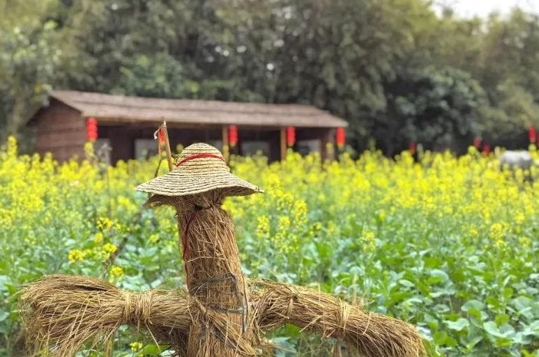 中山两日旅游指南，新年就来花花大世界行大运！