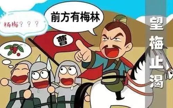 乌梅：敛肺生津的养生佳果，两大食疗方详解