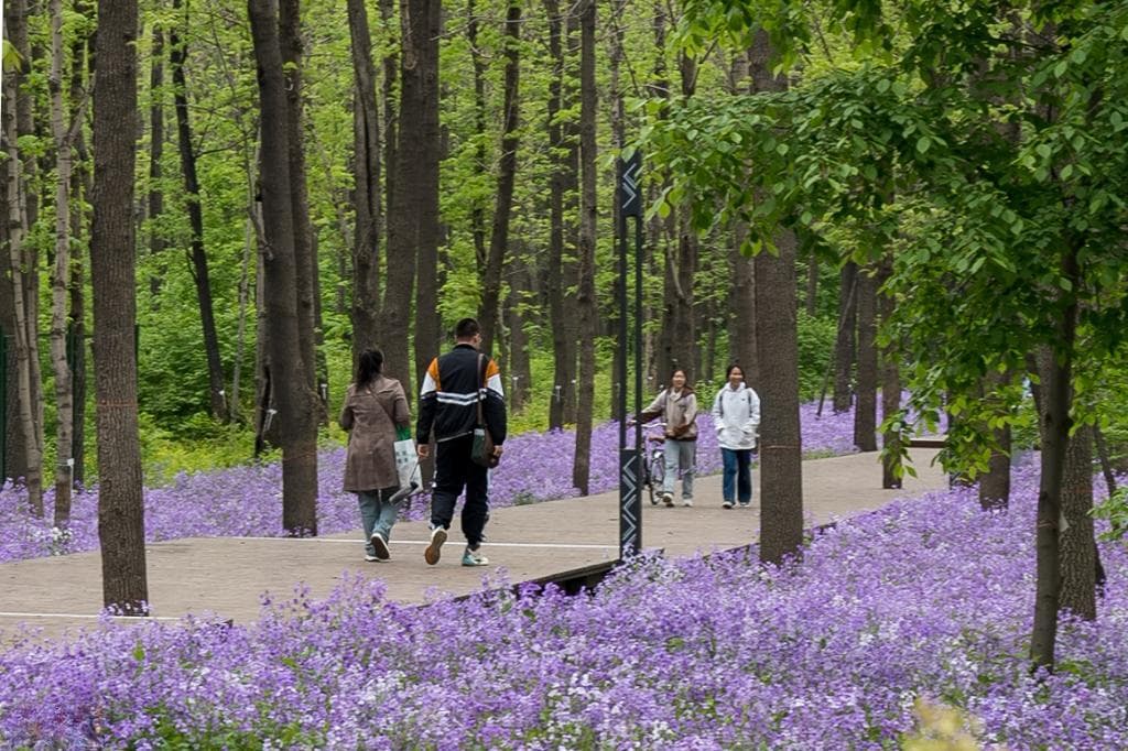 你好，“邻居”——与城市多样生物相处之道