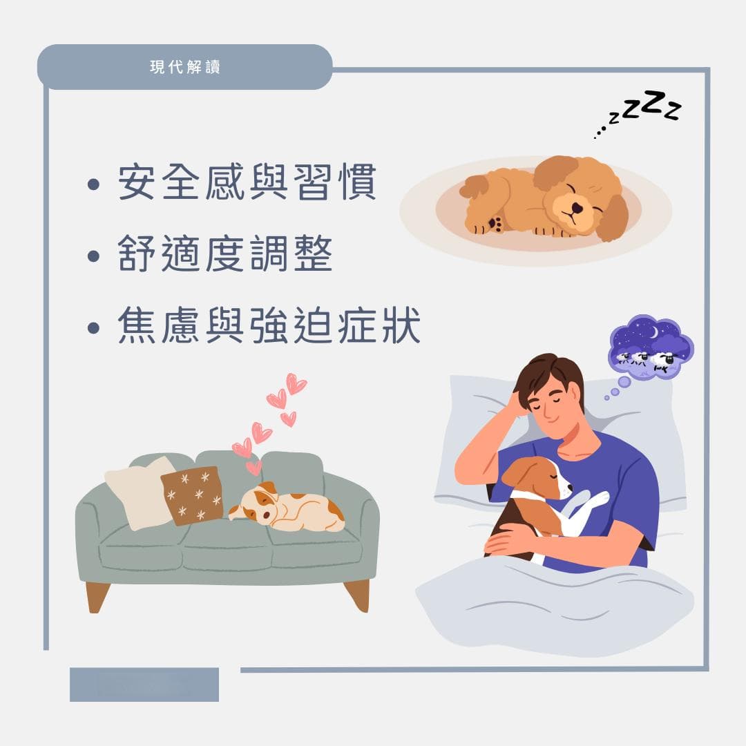 狗狗躺下前为什么总是要转圈？揭秘这一有趣行为背后的科学原理